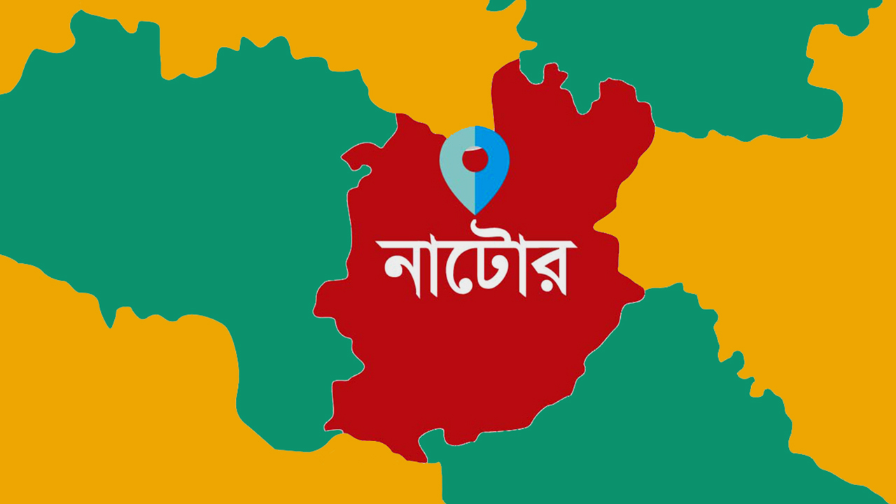নাটোরে মাইক্রোবাস-ট্রাকের সংঘর্ষে নিহত ৫-newsedge4