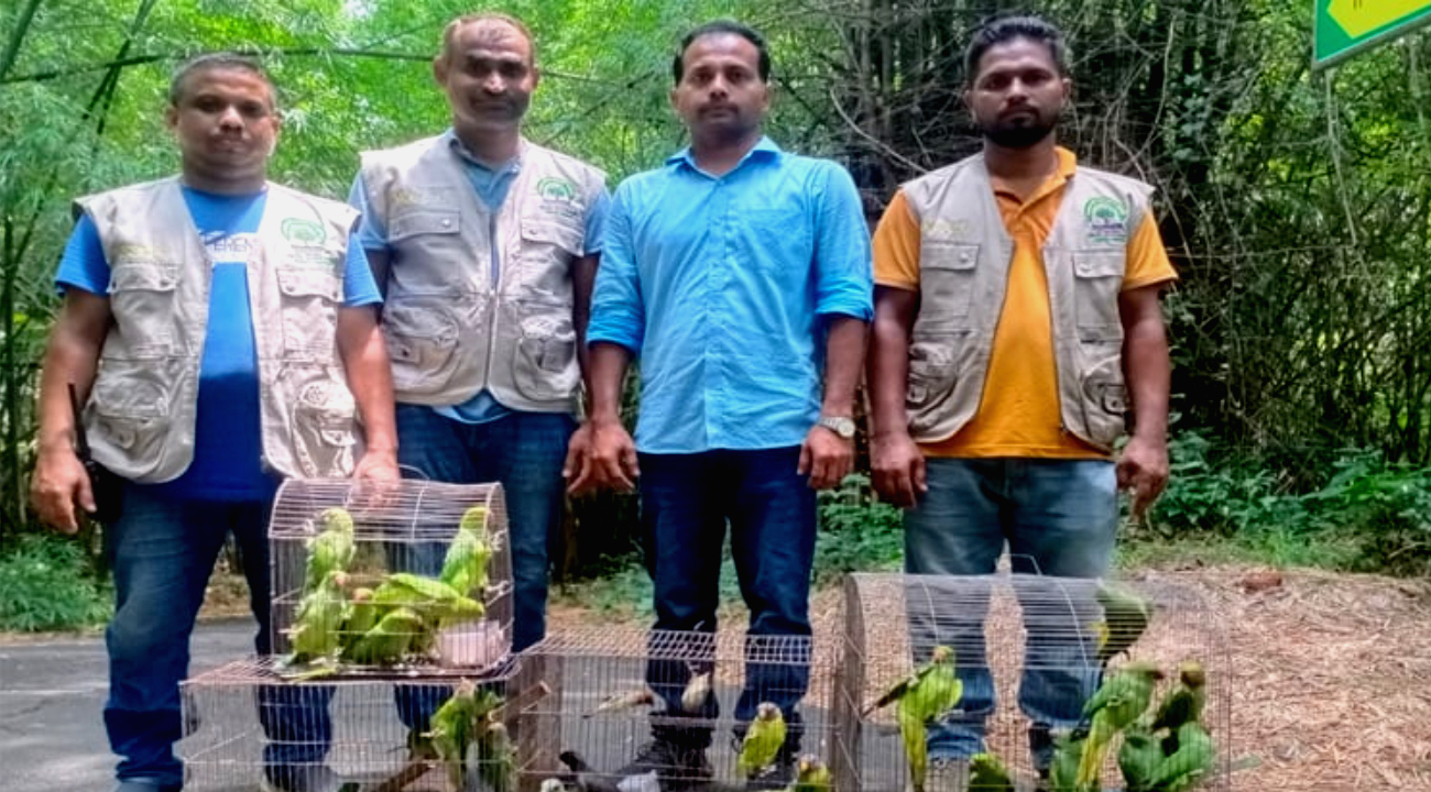 মিরপুরে ৬৯ পাখি ও ২ কচ্ছপ উদ্ধা-newsedge24