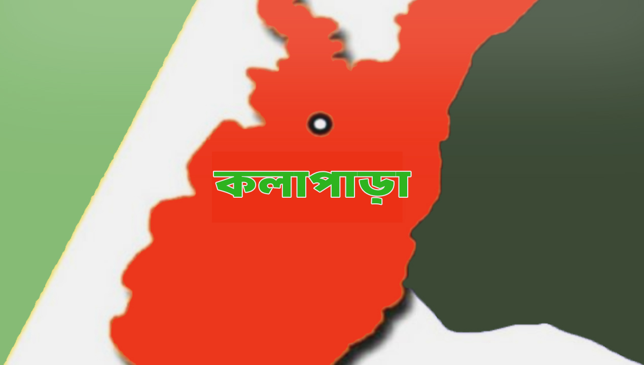 কলাপাড়ায়-খাস-জমিতে-বিএনপি-newsedge24