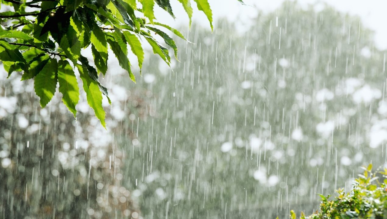 ঈদের দিন ঢাকাসহ পাঁচ বিভাগে ঝরতে পারে গুড়ি গুড়ি বৃষ্টি!