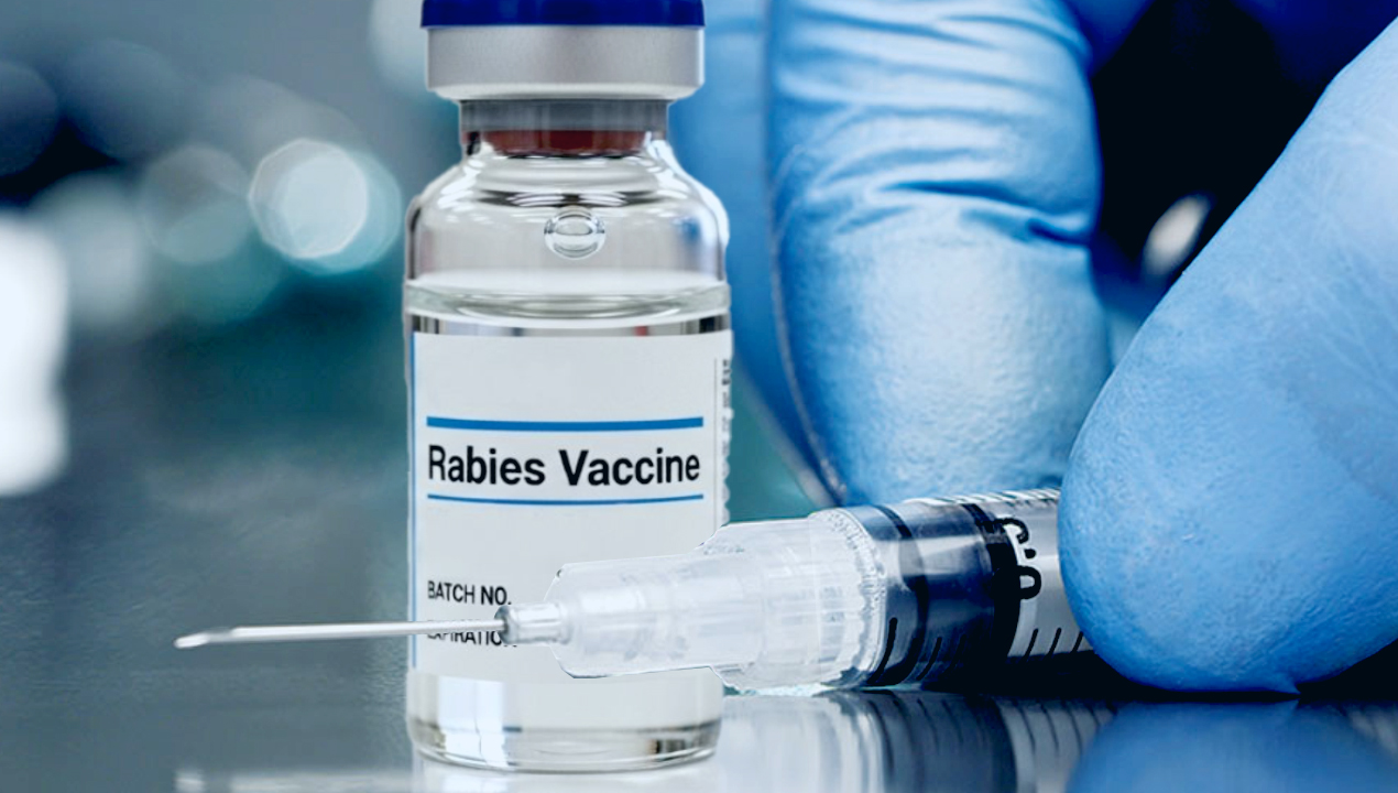 কুকুরের কামড়-ভ্যাকসিন-Anti Rabies Vaccine-newsedge24