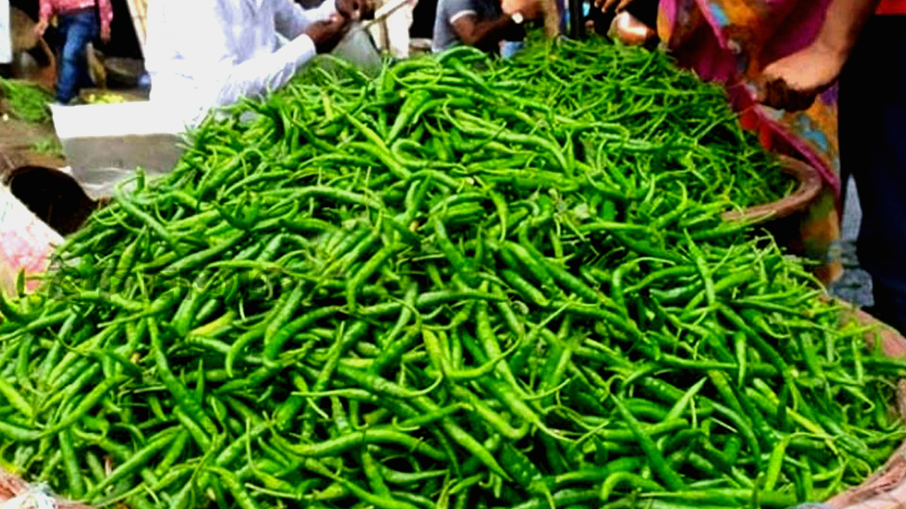 কাঁচা মরিচ-green-chili-newsedge4